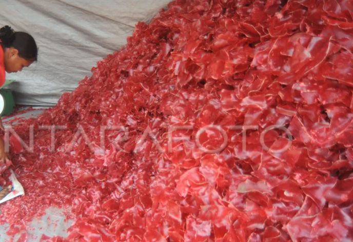 produk unggulan umkn (pengolah kerupuk)